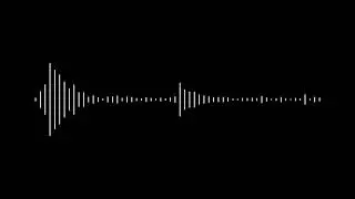 AUDIO MATERIALS 2