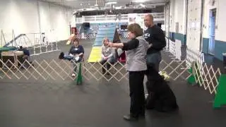 Utility Obedience Exercise