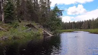 Paddling - Pagami Creek from mouth of Weasel Creek to Pagami Lake in the Weasel Lake PMA in the BWCA