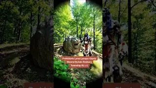 Ancient & prehistoric Lenni Lenape, pre-revolutionary War Revolutionary War & Civil War Burials
