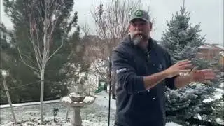 Custom Multi-Level Decks By Paul From Denver Decks