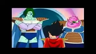 VEGETA PEQUE&Ntilde;O Y FREEZER
