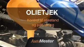 S&aring;dan tjekker du bilens olie