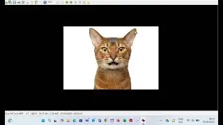 How to upload image to Google Colab