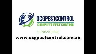 Termite Inspections and termite control OCG Pest Control Camden