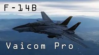 DCS F-14B with Vaicom Pro