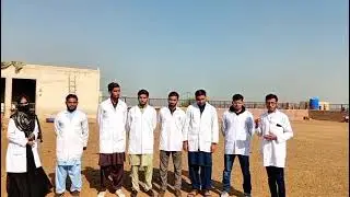 Donkey Health 101: Blood Sampling & Common Parasites 🐴💉