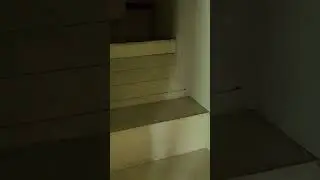 дверь в подсобные помещения