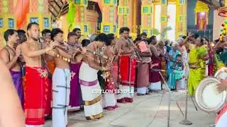 மல்லாரி அருமையான வாசிப்பு