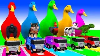 5 Giant Duck Cartoon,Cow,Elephant,Tiger,Lion,Dinosaur,Paint Wild Animals Crossing Fountain Animation