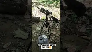 Pheonix receiver airgun testing my own slug #slug #hunting #airgun