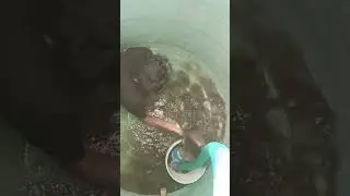 water tank cleaning #dewateringsolution #watertank #tankcleaning #trending