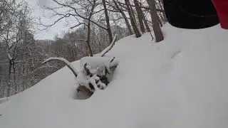 札幌里山散歩❄️2026年1月