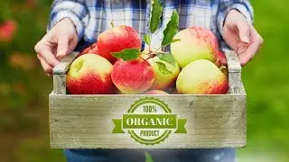Does Eating Organic Food Reduce Cancer Risk?
