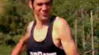 Reel big fish - everything sucks