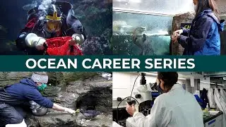 Join us for Ocean Career Series starting January 27! 🐟🔬🦦