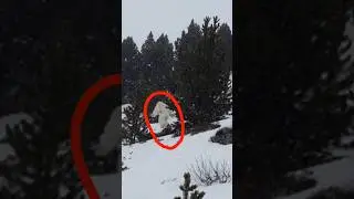 இமயமலையில் எட்டி? || Yeti is real? || #yeti #bigfoot #indianarmy #youtubeshorts #shorts #savenature