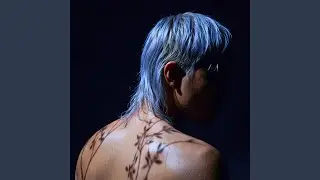 digital traces