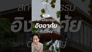 #Dview บ้านต้นไม้ริมทะเล 