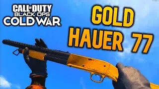 Gold HAUER 77! Class Setup, Best Attachments, etc. (Black Ops Cold War)
