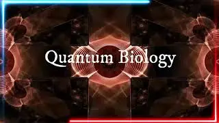 (Part 1) Alpha Genesis Supposition. A Supposition of Everything: Subtracting Fundamental Ignorance.