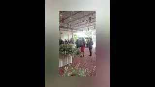 NURIL & FAUZULWEDDING PARTY DI GENTUMAN KENDAL 3 JANUARI 2026