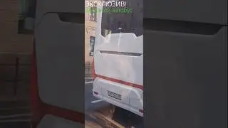 Автобус Scania Touring HD 13.7 едет по Невскому пр. (снято с окна автобуса) #shorts