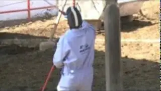 aplicando alfadex con ritmo ahora si