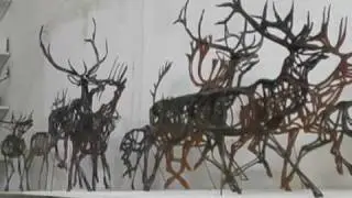 Art Work:  Animals, Why