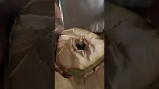 Tender Coconut Cooler #asmr #shorts