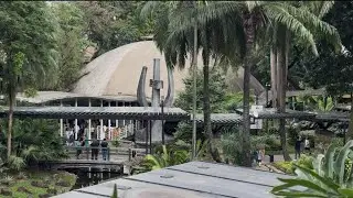 Nature in Manila Enjoy Life