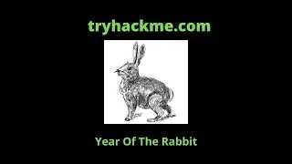 Try Hack Me : Year Of The Rabbit(CVE-2019-14287)