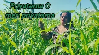 Priyatama O meri priyatama | covered by hansha Bhogayata | video | song |