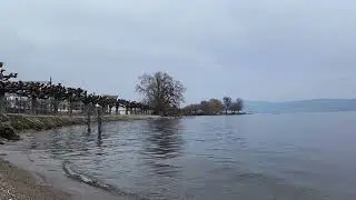 z&uuml;rich see / Цюрихское Озеро RICHTERSWILL