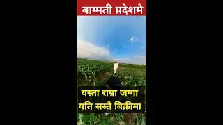 land in sale,realestate nepal,agriculture land in sale,cheap land in sale