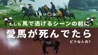 もしも馬で逃げるシーンの前に愛馬が死んでいたらどうなるの？【ゴーストオブツシマ】
