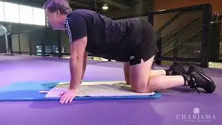 How To Do a Cat Cow - Demo