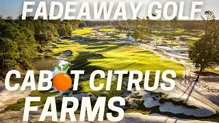 Streamsong или Cabot Citrus Farms?