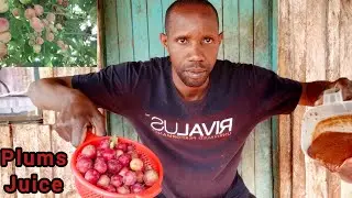Homemade Plum Juice🍑🍹 in Our New Village Homestead | Simple Rural Life🏠