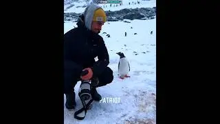Penguin is built different☠️ #shorts #edit #trollface