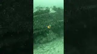 D-Day's Lost Relics: Unveiling Normandy's Underwater Secrets