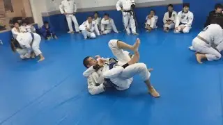FAIXA AZUL PARTIU PRA CIMA DE RAFAEL MENDES EM SEMIN&Aacute;RIO E A COISA FICOU FEIA
