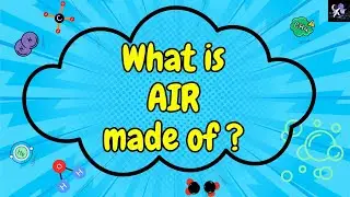 What Is Air Made Of | What Are We Breathing?