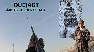 DUEJAGT p&aring; &aring;rets KOLDESTE dag!
