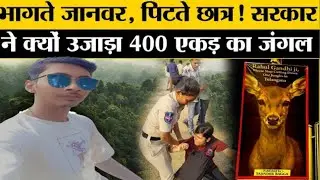 Hyderabad forest issue explained in Hindi | HCU Protests by Abhi and Niyu