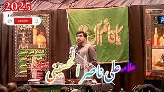 Allama Ali Nasir Al hussaini talhara 