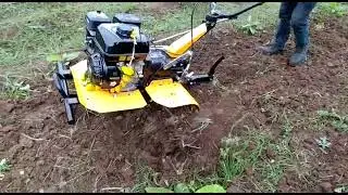 7hp Power Petrol weeder : Texas Brand Ph: 81471 99189