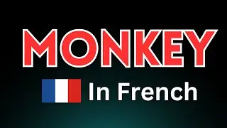 Learn How to Pronounce 'Monkey' in French! Correctly (Animal)
