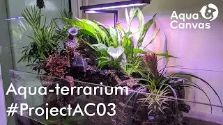 Build Process of 60cm Aqua-terrarium (ProjectAC03)