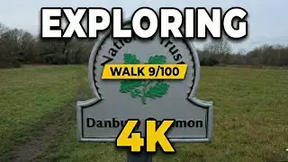 Exploring Danbury Common: A Walk Through Heathland & Woods - 4K - Walk 9/100